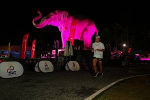 BIB: 
                            <button type="button" onclick="openModal(26534787)" class="btn btn-primary btn-sm float-right btn-popup" data-toggle="modal" data-target=".modal-high-quality">
                        <i class="fas fa-shopping-cart"></i> Add to Cart
                    </button>
                                            <button type="button" onclick="isThisMe(26534787, true)" class="btn btn-success btn-sm float-right btn-popup btn-isme hidden" data-toggle="tooltip" data-placement="bottom" title="นี่คือรูปของคุณใช่ไหม คลิกที่นี่เพื่อเอาเข้าอัลบั้ม">
                        <i class="fas fa-plus"></i> Add to album
                    </button>
                    <button type="button" onclick="isThisMe(26534787, false)" class="btn btn-warning btn-sm float-right btn-popup btn-isnotme hidden">
                        <i class="fas fa-ban"></i> Remove from album
                    </button>